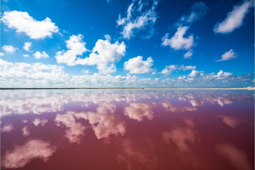 pink water of las coloradas lake
