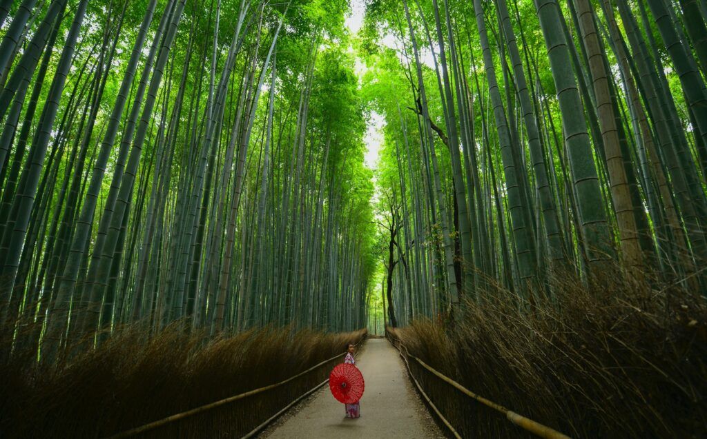Woman in the middle of bamboo forest of Arashiyama