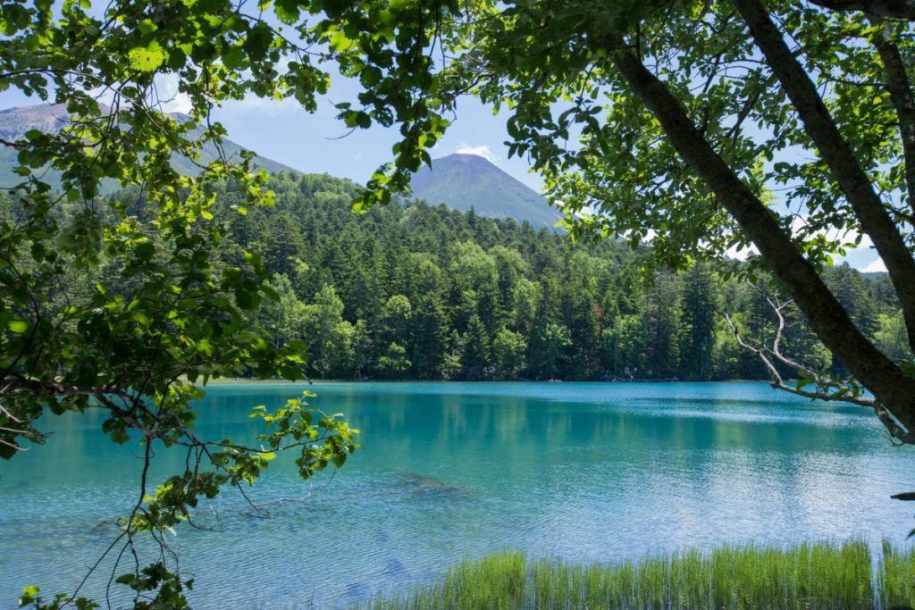 body of water near green trees under blue sky in Hokkaido