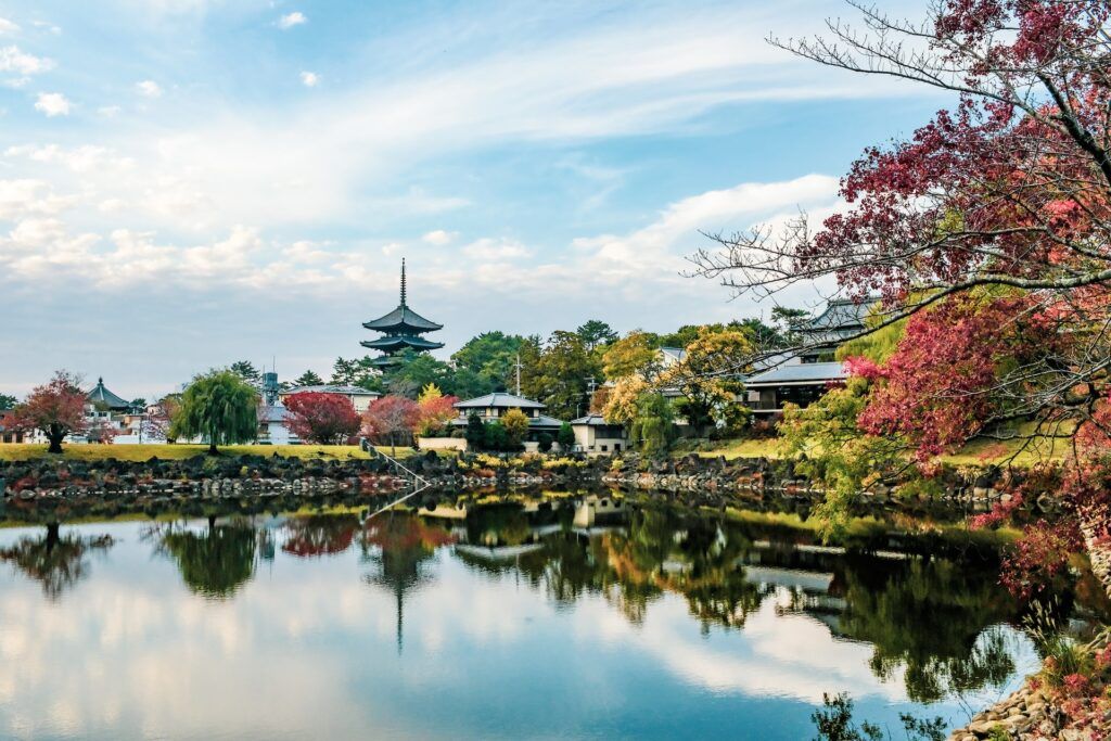 Body of water near green trees during daytime in Nara