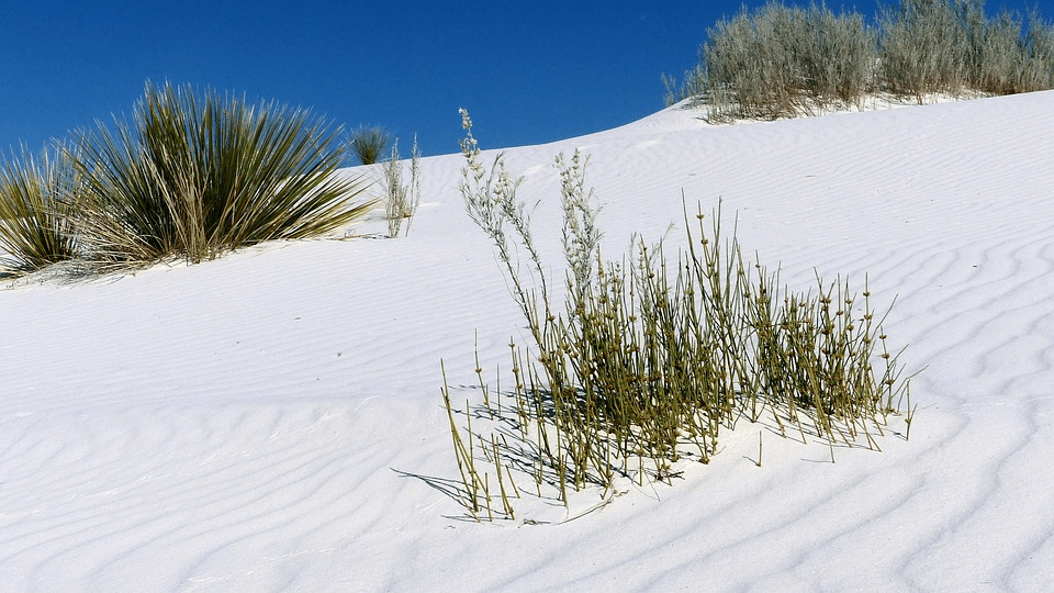 The fine white sand of the Sugar Dunes