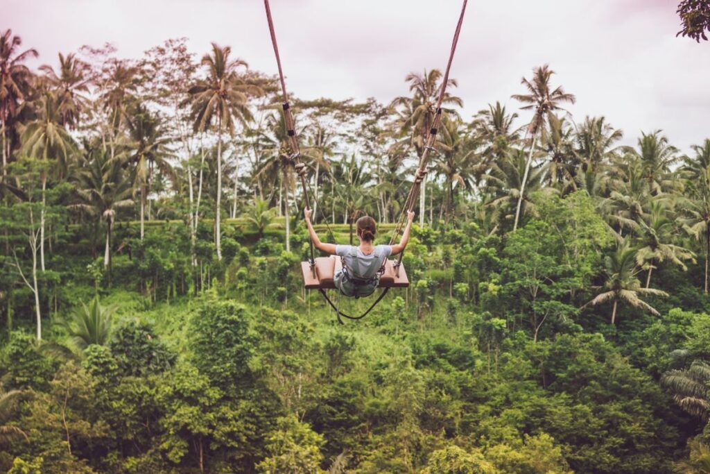 A swing flying over the Jungle