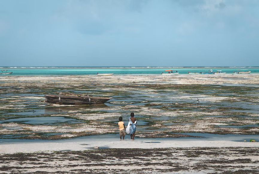 Two kids walk on Jambiani beach in Zanzibar
