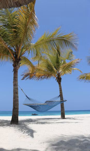 Hammock in Muyuni beach