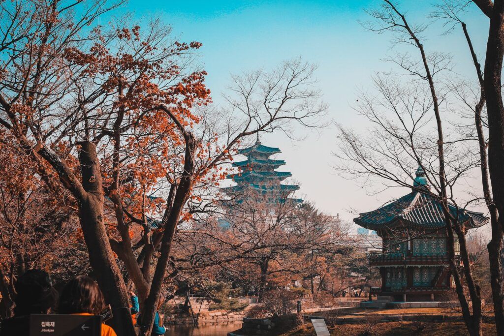 Brown bare trees under blue sky in Seoul
