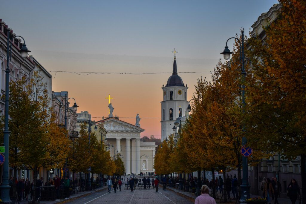 Vilnius Cathedral