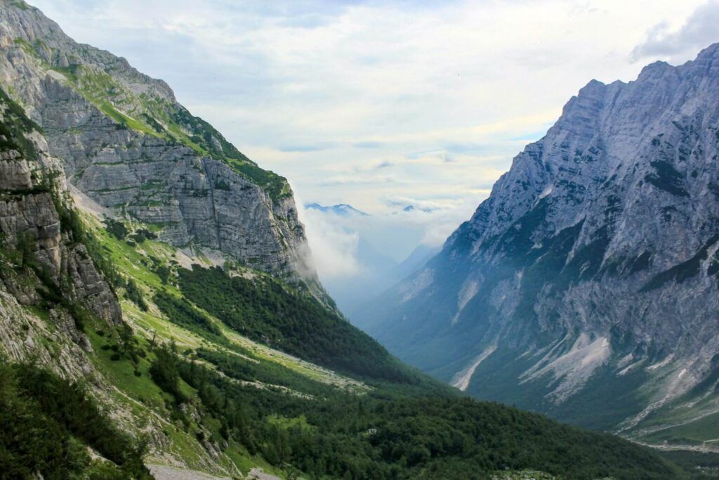 View from above the Zelenci Nature Reserve.