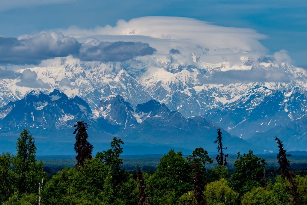 Trees and green mountains during the day at Denali National Park and Preserve.
