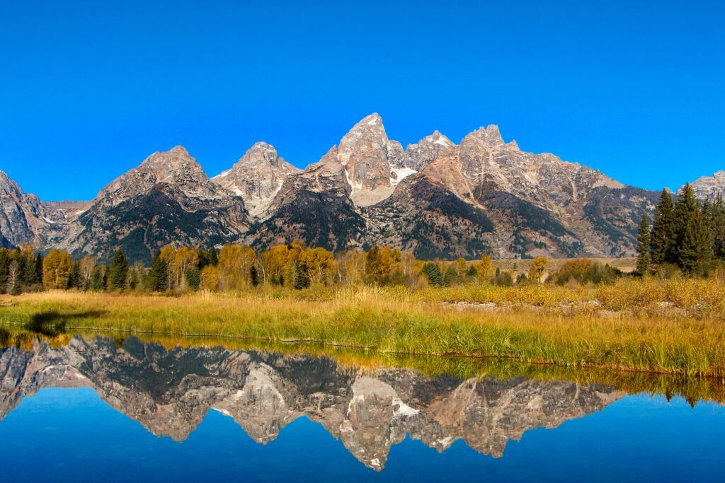 Green trees and mountains at Grand Teton National Park.