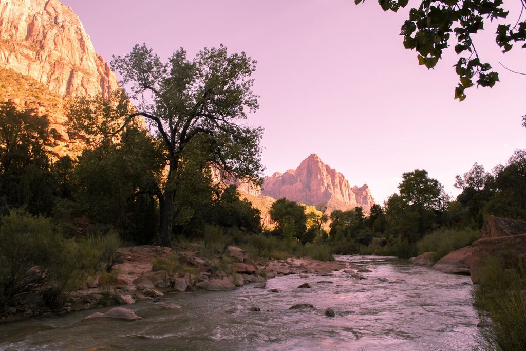 Trees near the mountain at National Zion Park.