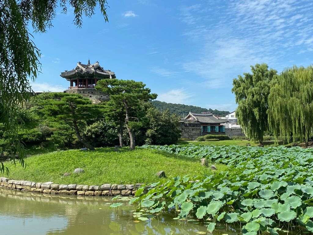 A pond in a park with a pagoda in the background.