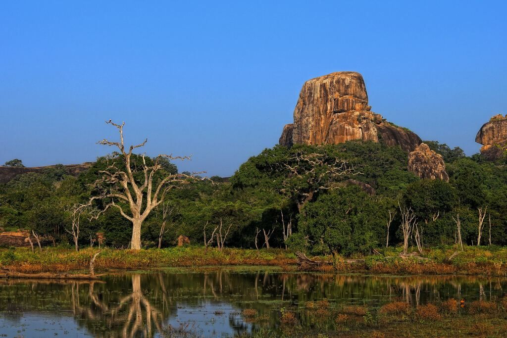 A stretch of water with trees and a mountain in the background