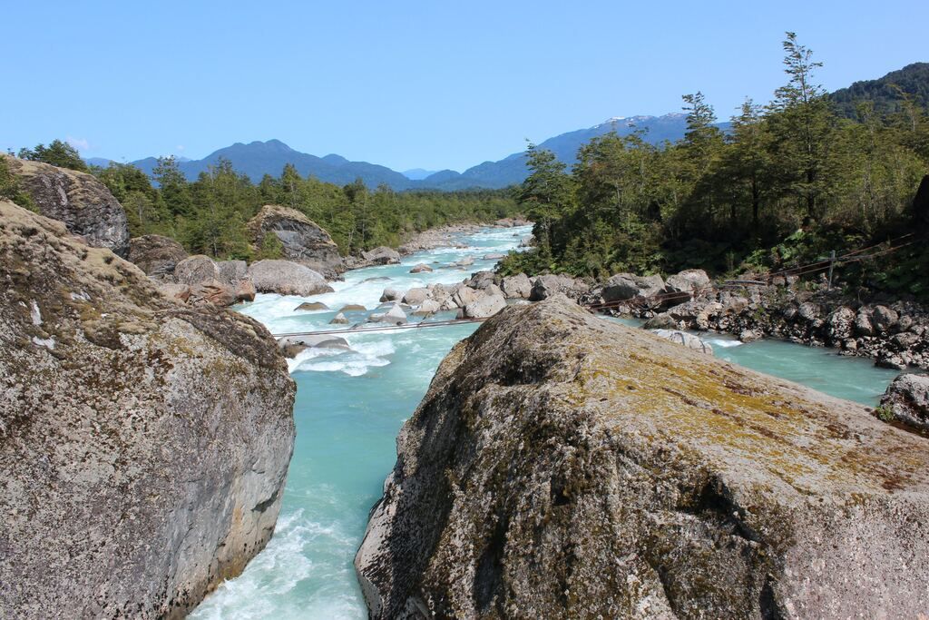 River among green trees under blue sky during the day