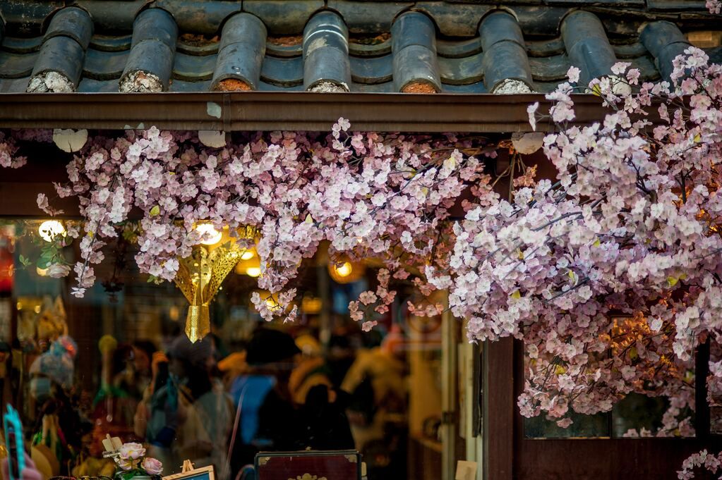 flowers with pink petals on the roof tiles