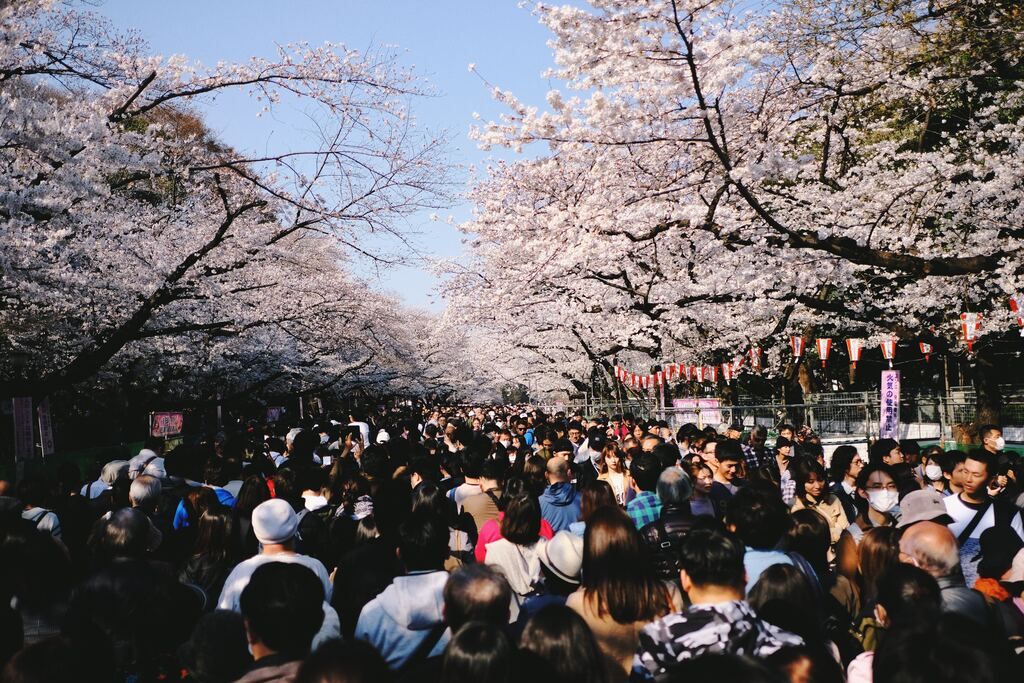 a large crowd of people walking along a road