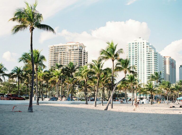 Palm trees near buildings.