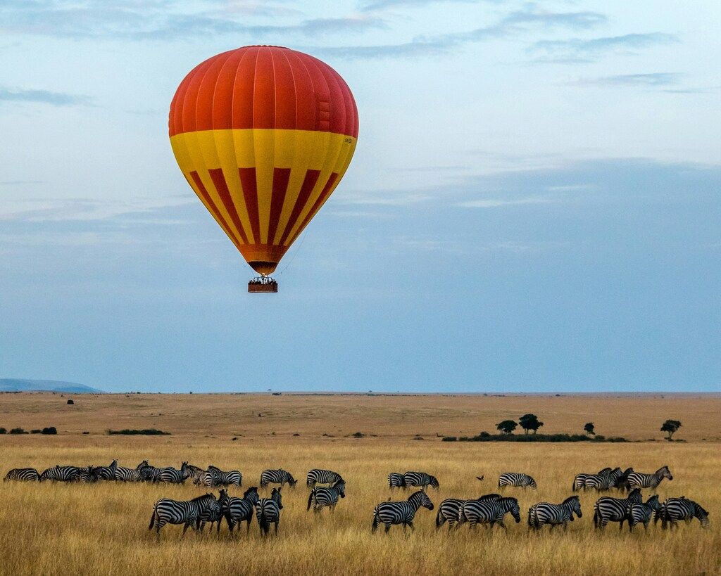 Red and yellow hot-air balloon over zebra field.