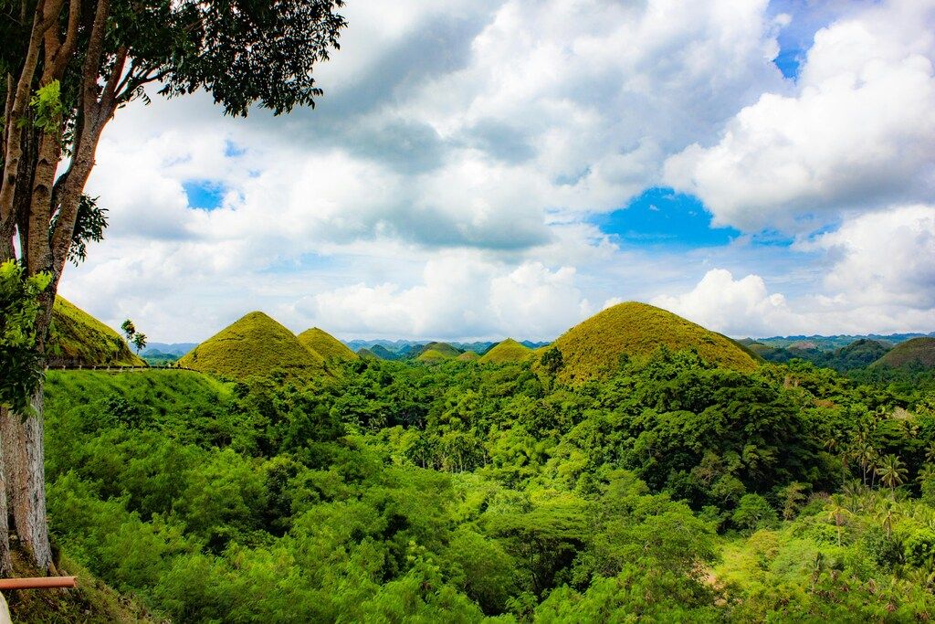 green trees and mountain under blue sky and white clouds during daytime.