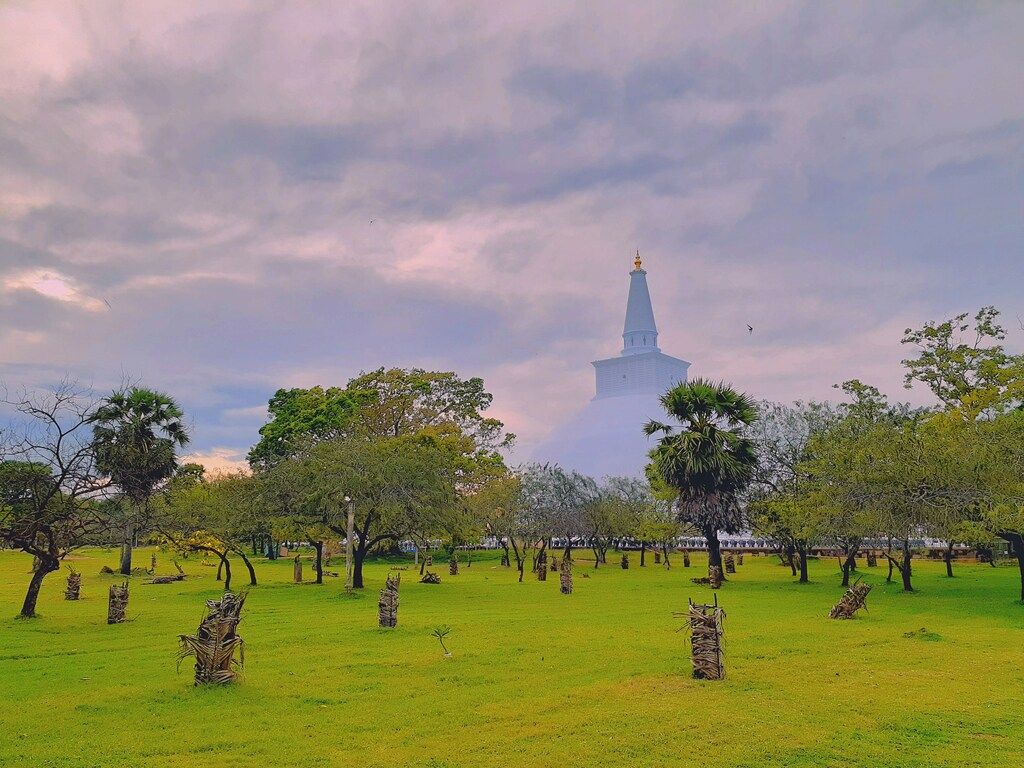 green grass field with trees under white clouds during daytime 