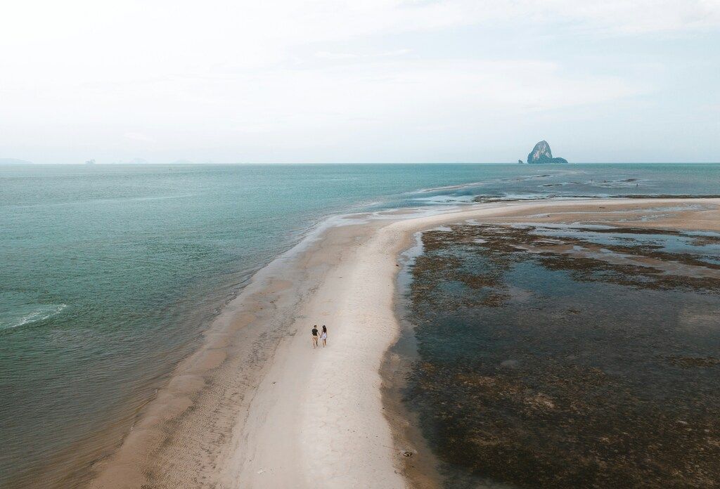people on the beach during the day