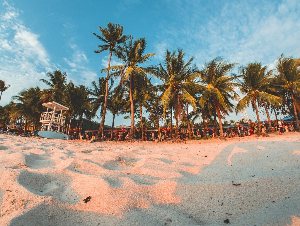 green coconut trees under by cirrus clouds.