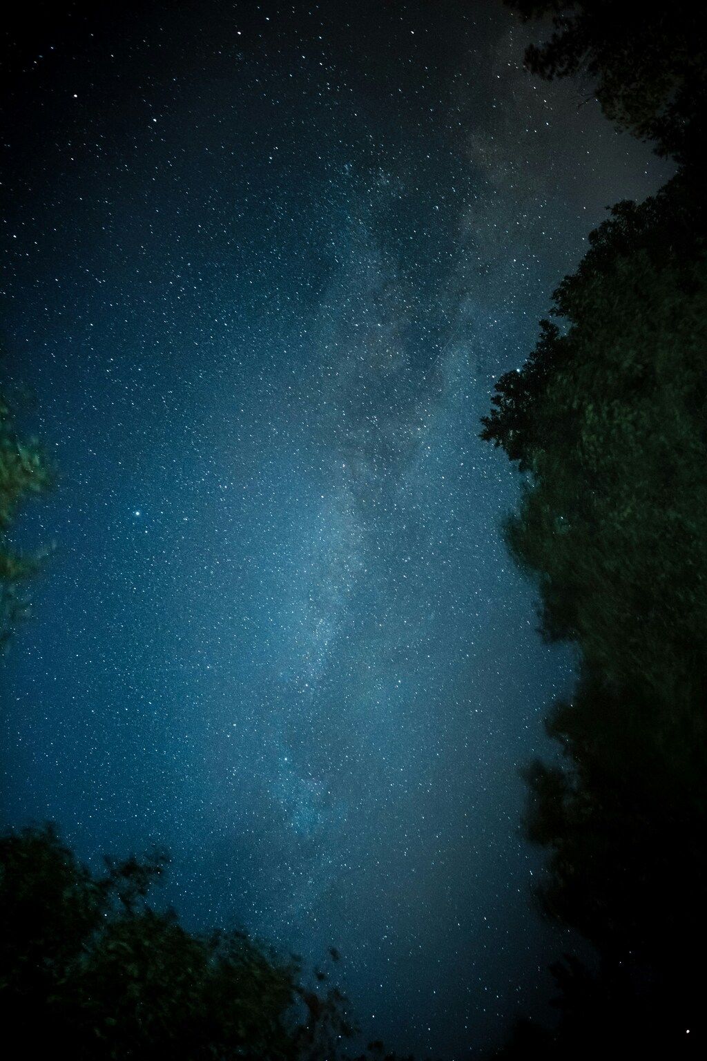 Starry sky at Fundy National Park, Canada