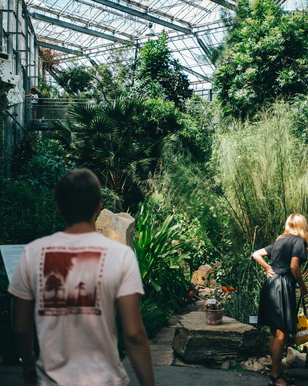The lush greenery inside the Botanical Garden in Amsterdam.