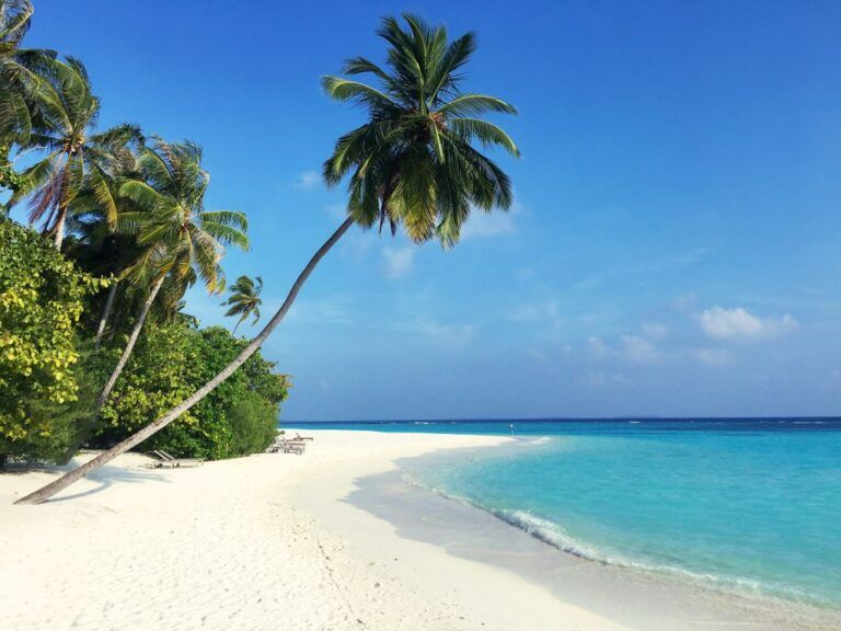 warm places to visit in december