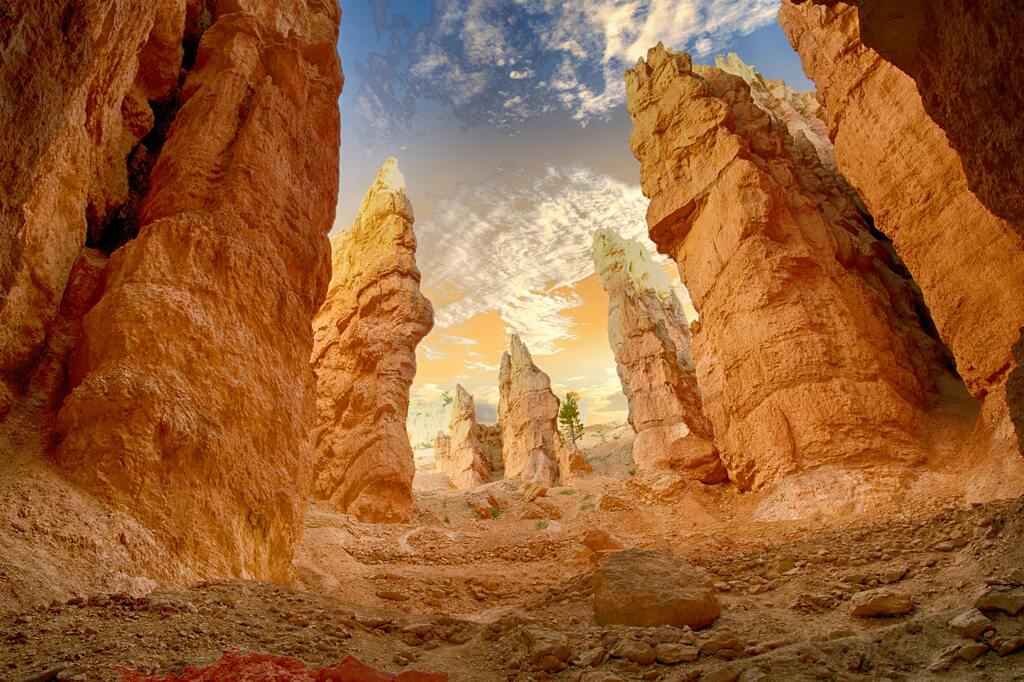 Majestic hoodoos in Bryce Canyon National Park, bathed in golden sunlight at sunrise.