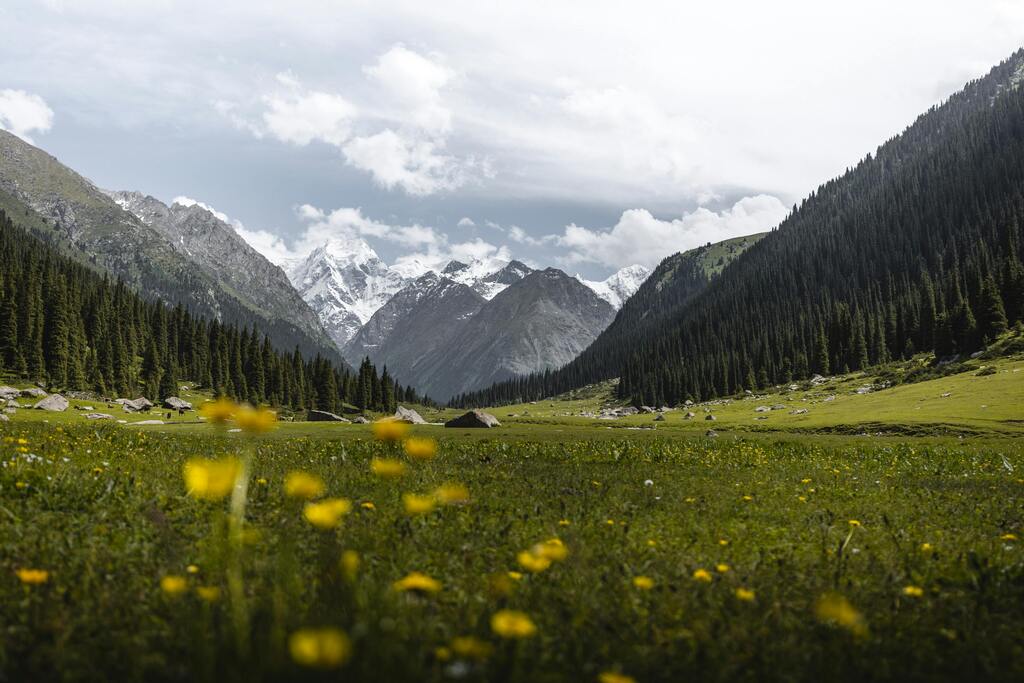 A breathtaking valley surrounded by towering mountains with yellow wildflowers in the foreground.