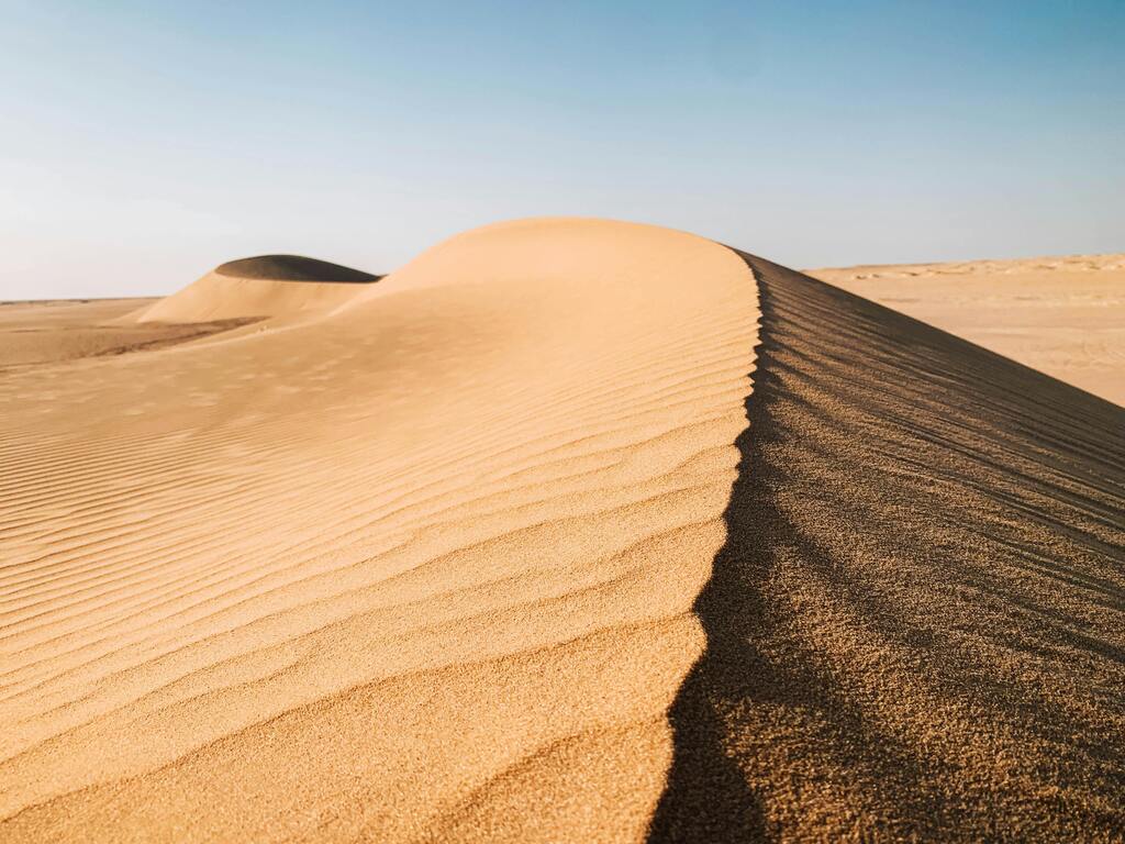 Golden sand dunes in the Great Sand Sea of Egypt, with soft ripples and clear skies.