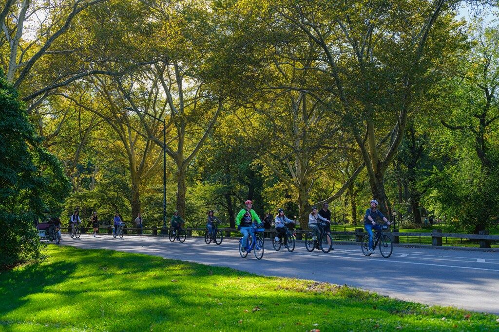 Group of cyclists enjoying a leisurely bike ride through a tree-lined park in the city