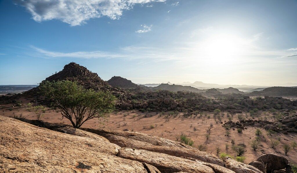 Desert landscape with rocky hills and a lone tree in Namibia