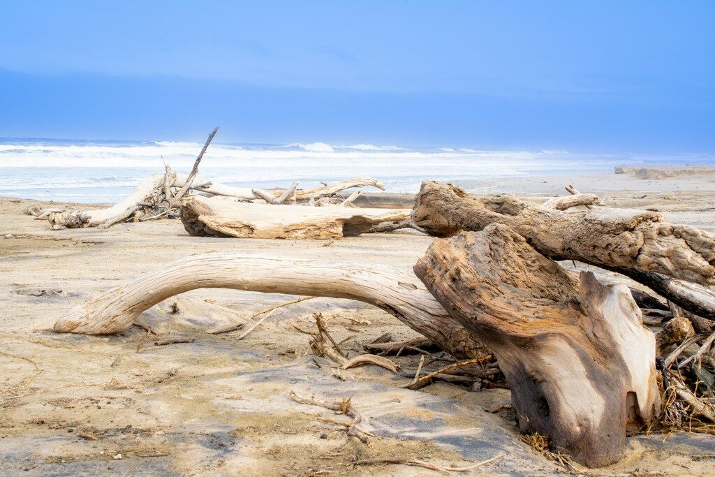 The Skeleton Coast in Namibia
