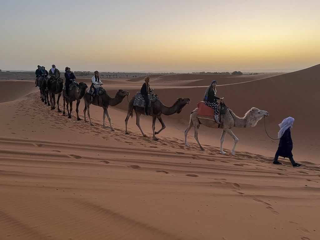 camel ride in the desert - Experience the magic of the desert with activities such as camel rides