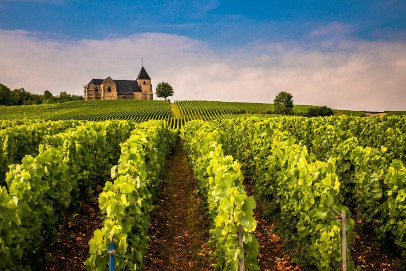 French wine regions: where to go, what to sip, and how not to look lost