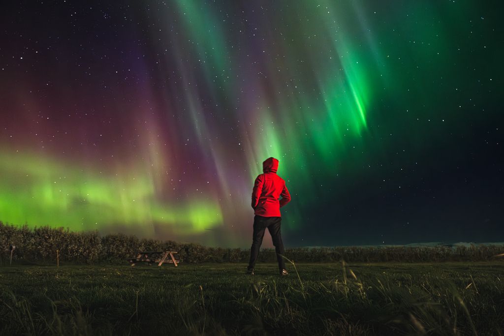 Person in a red jacket looking up at a spectacular display of green and magenta Aurora Borealis (Northern Lights) filling the night sky.