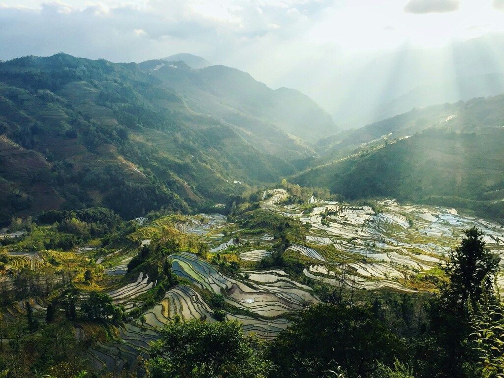 Sunlight breaking through clouds over the layered rice terraces in Yuanyang, Yunnan Province.