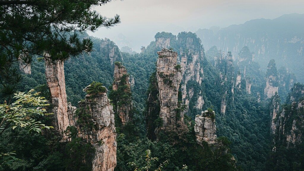 Misty landscape of the towering sandstone pillars in Zhangjiajie, the inspiration for the movie Avatar.