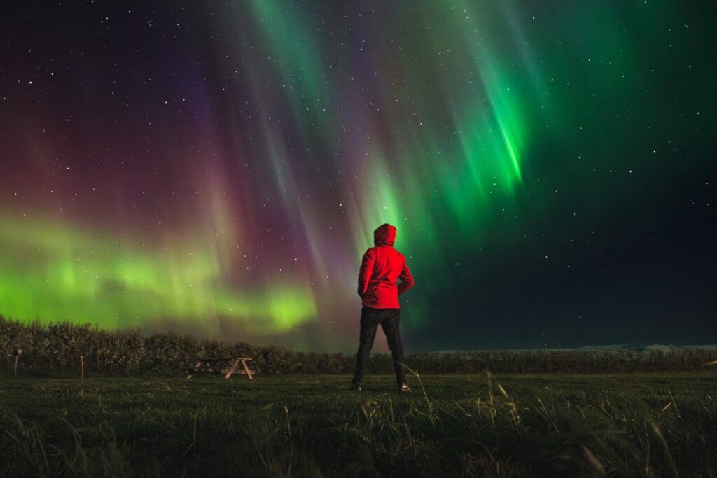 A person in a red jacket stands in a field, looking up at the vibrant Northern Lights filling the sky.