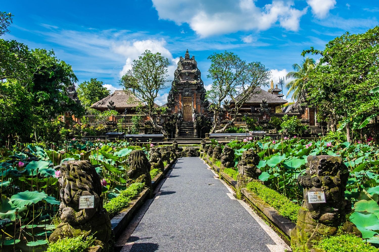 A traditional Balinese temple, flanked by ornate statues and a pond filled with lotus leaves.