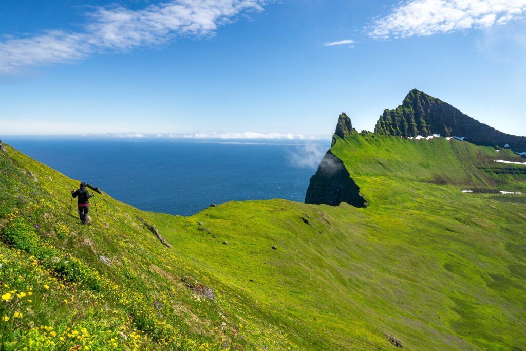 Hiker on steep, lush green cliffs overlooking the Atlantic in Hornstrandir.