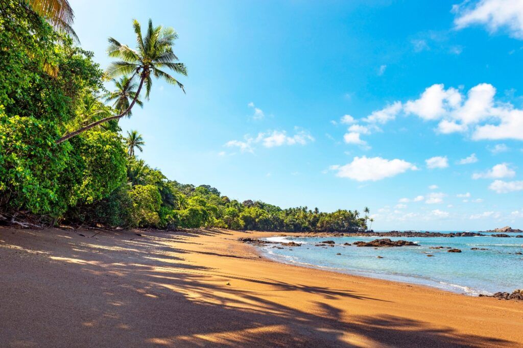 Golden-sand beach lined with dense tropical forest and palm trees, leading to rocky outcrops by the ocean.