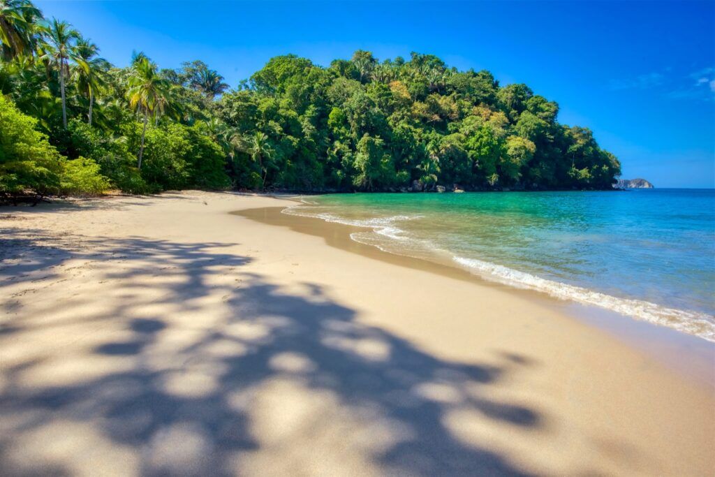 Pristine tropical beach with white sand, gentle waves, lush green jungle, and palm tree shadows under a bright blue sky.