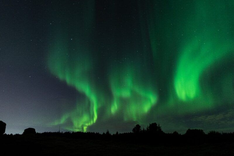 Intense green northern lights above a dark forest silhouette.