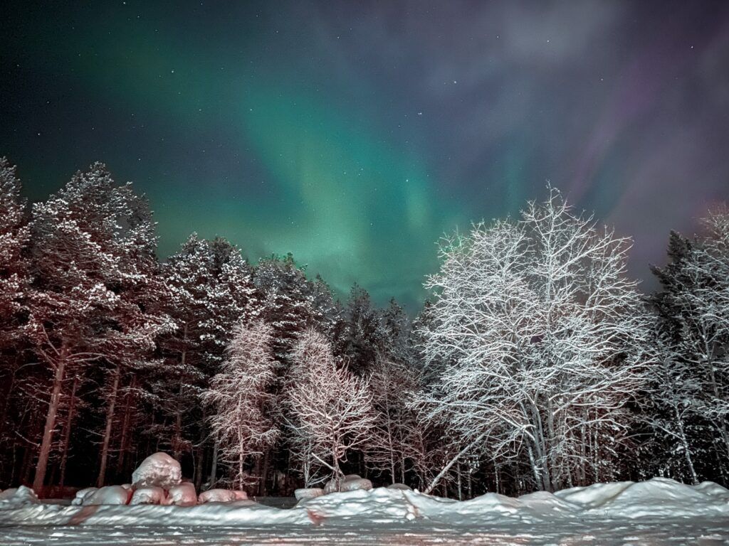 The vibrant green and purple Aurora Borealis dancing in the night sky over a snow-covered forest in Finnish Lapland.