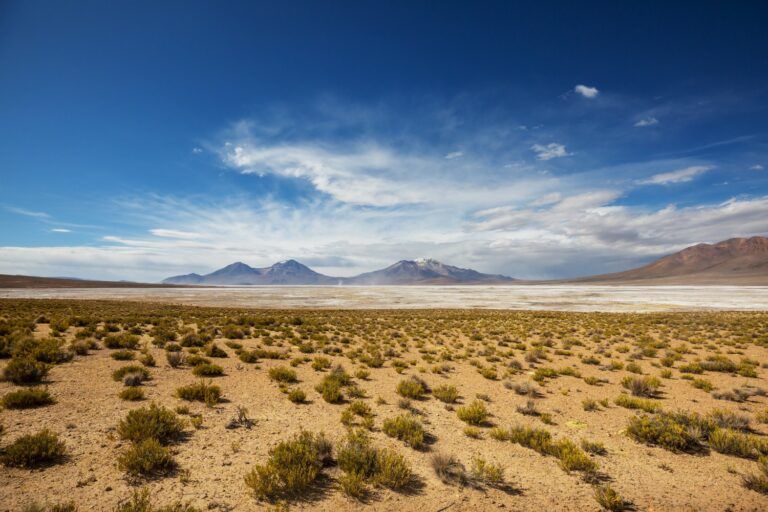 A wide panoramic view of a vast high-altitude plain in Chile, with sparse desert vegetation in the foreground leading to a white salt flat and distant mountains under a blue sky.