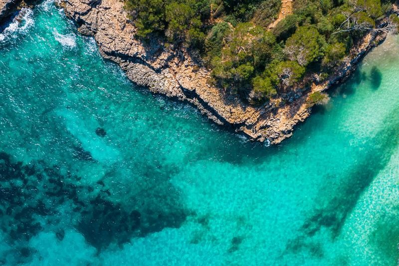 Aerial view of the Mallorca coast with crystal-clear turquoise sea, rocky cliffs and Mediterranean pine trees