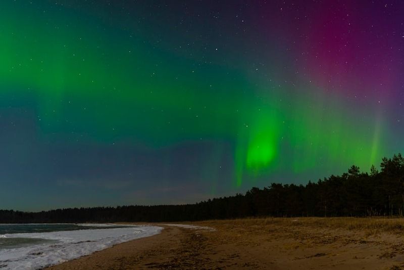 Green and purple aurora borealis over a sandy beach with a conifer forest at night