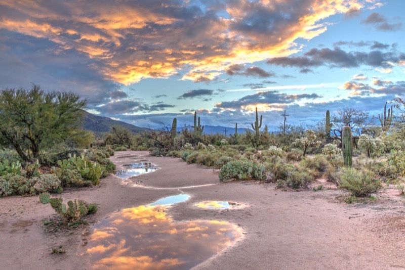 Desert trail in Arizona with cacti and glowing clouds at sunset